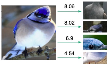 pbm_similarity_vis